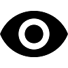 Vision Icon